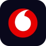 Logo of VodaPay android Application 